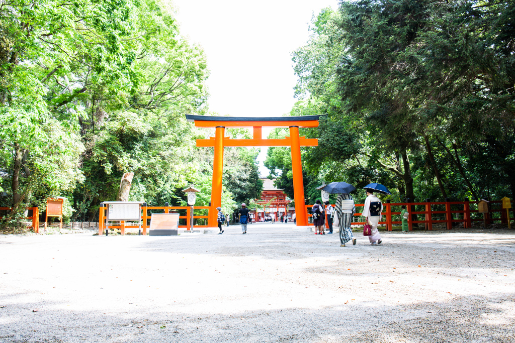 初夏の下鴨神社へ　Ⅰ