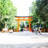 初夏の下鴨神社へ　Ⅰ
