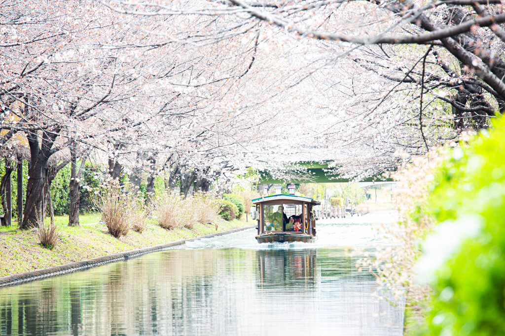 十石舟のある春景色　Ⅵ
