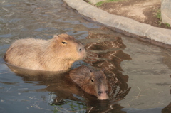 もそっと、いい湯