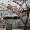 春の京都水族館
