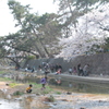 春光景
