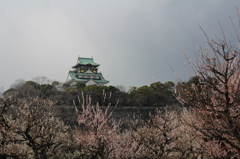 大阪城