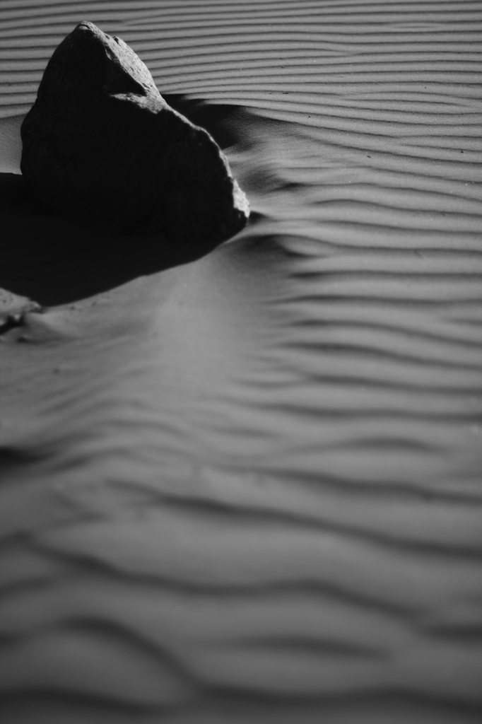 砂漠
