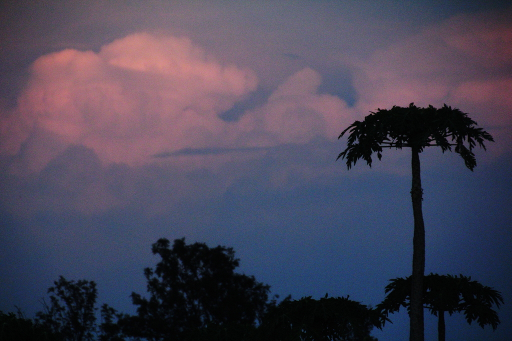 雲