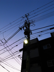 電柱