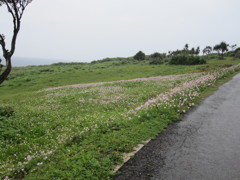 IMG_1633