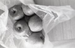 apples