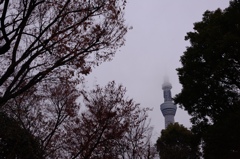 tree, tower, and cloudy sky