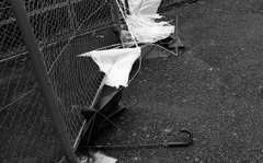after rain