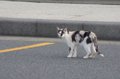 何見てるんだよ？