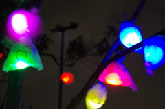 笑顔が撮れたよ