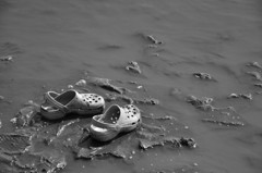 sng_20100418_024