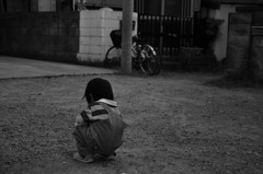 sng_20100501_027