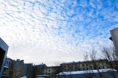 sng_20110309_013