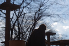 見据える未来か