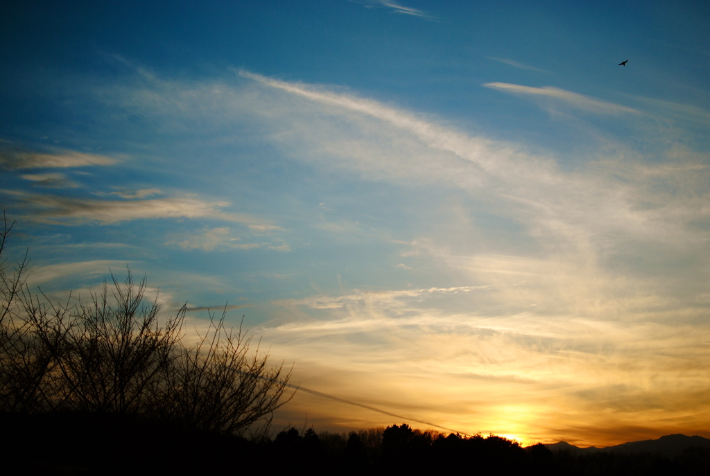 秋空