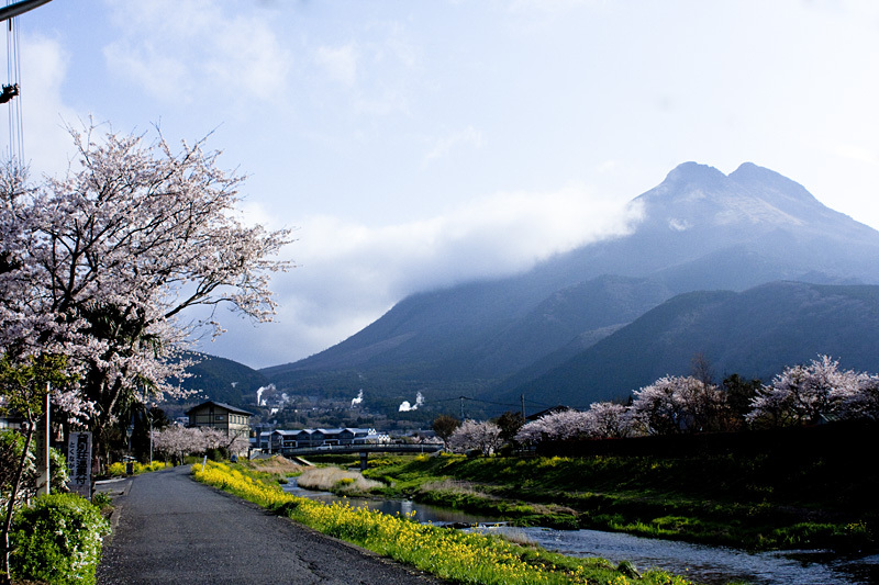 春爛漫 ２００８