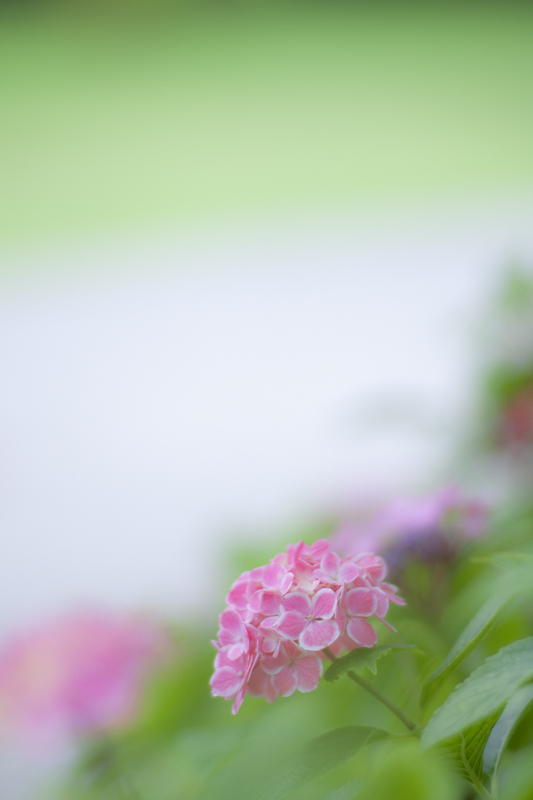 初夏の正午