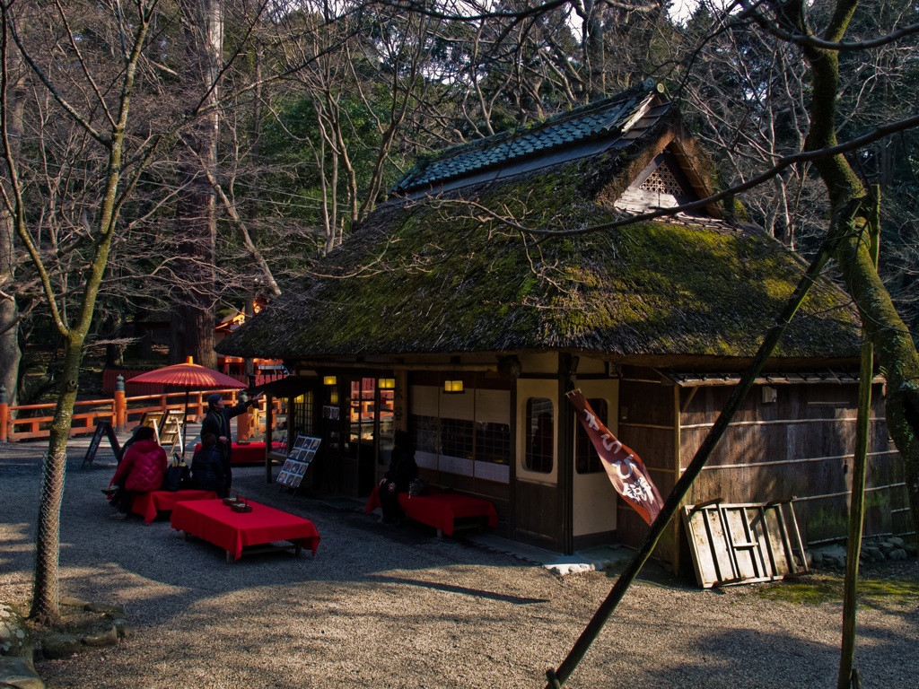 CHAYA
