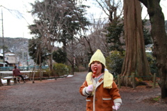 記録：高尾山　4歳初登頂　12/12