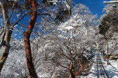 記録：高尾山　4歳初登頂　2/12