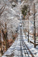 日本一with雪の華