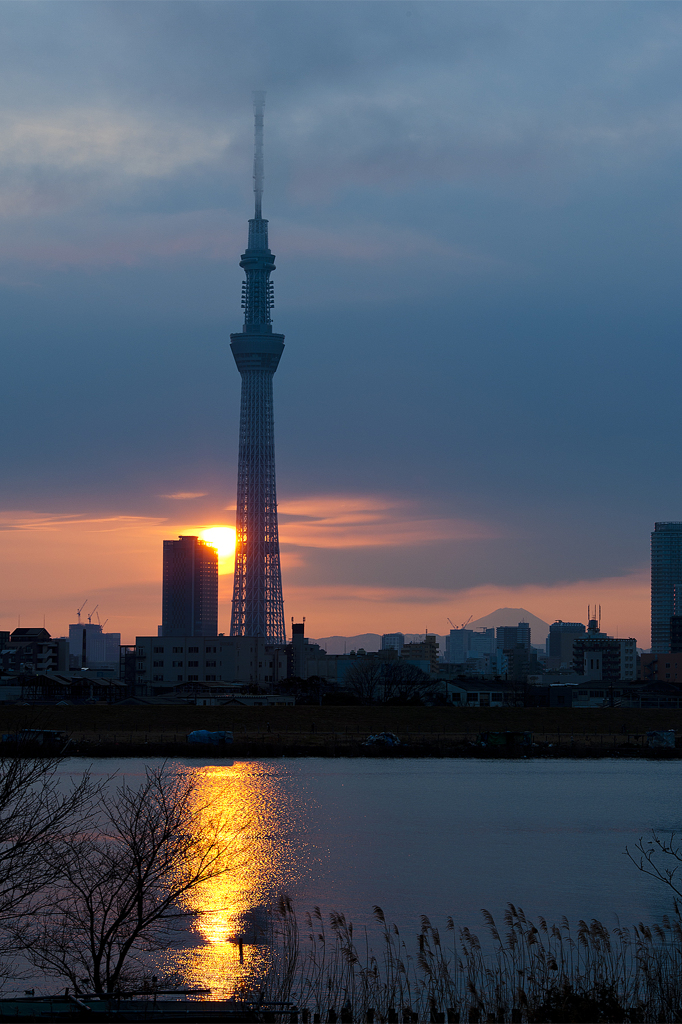 _DSC0017_1