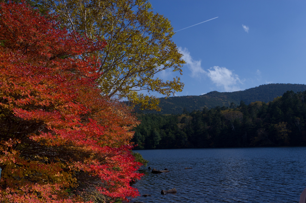 紅葉の白駒池