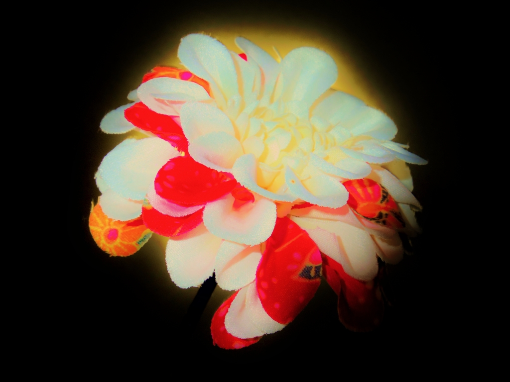 *レトロ*ダリア*