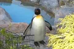 「はいポーズ♪」