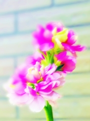 水彩画