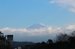 午前中の富士山