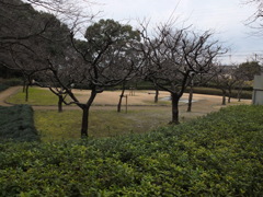 初心者　試し撮り　近所散歩道