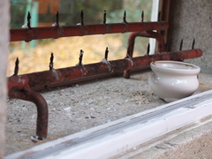 初心者試し撮り　近所散歩道