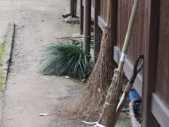 初心者試し撮り　近所散歩道
