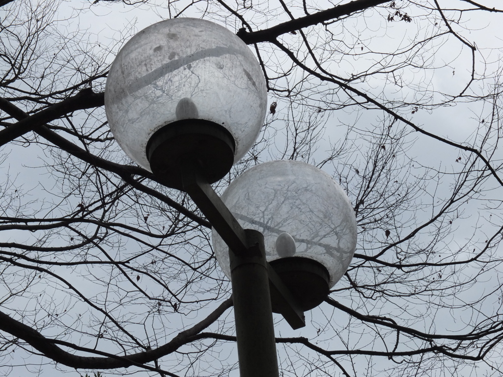 初心者　試し撮り　近所散歩道