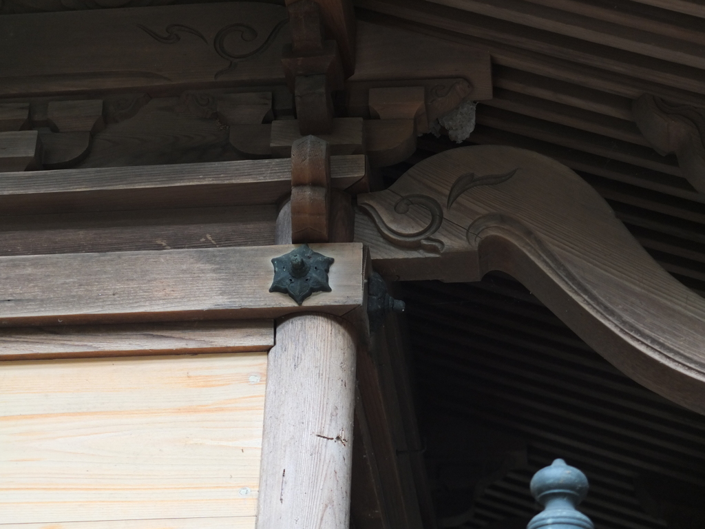 初心者試し撮り　近所散歩道