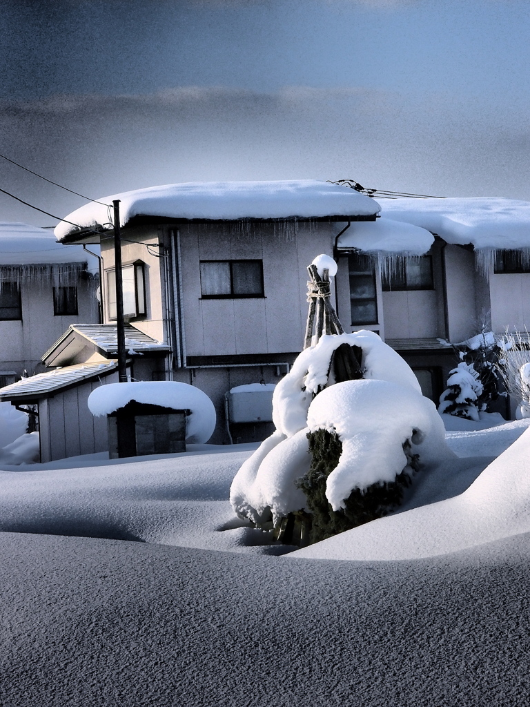 今年も降ったな_01