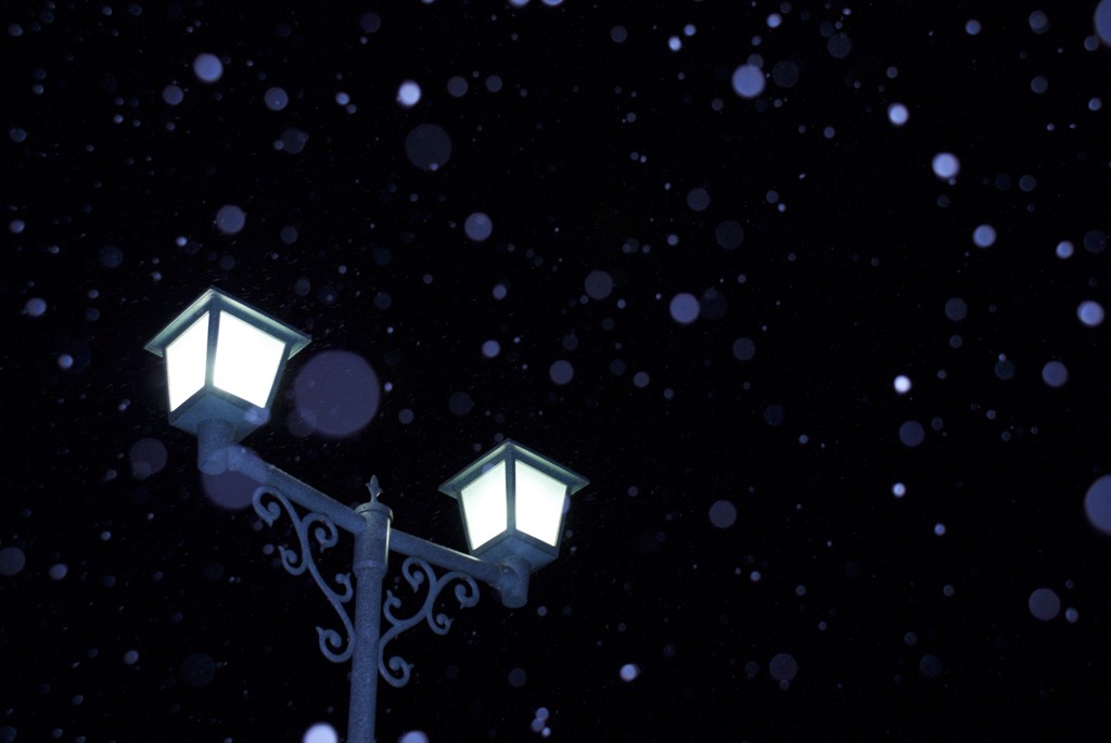 凍てつく寒さでも