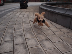 感動の再会