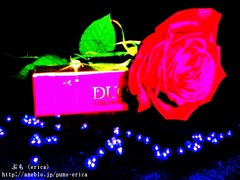 薔薇と煙草２