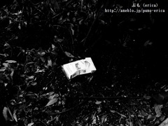 煙草-モノクロ-