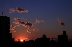 夕日