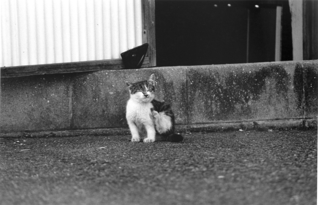 1_002