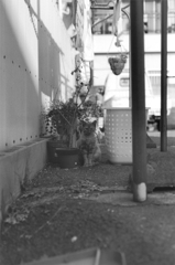 1_003