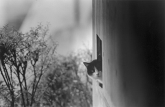 1_001