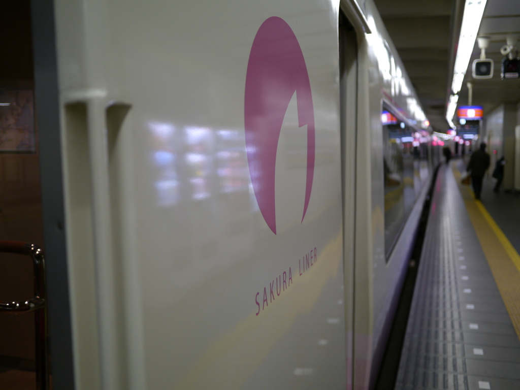 季節はずれの桜