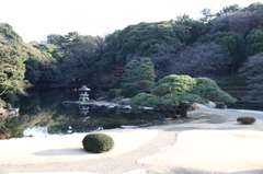 御苑　日本庭園