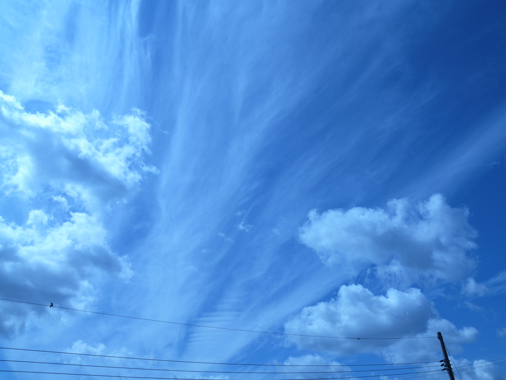 空。